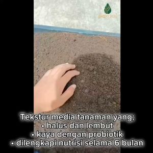 Baba Sup Sup Water Vege Mix (28L) Sup Sup Water Tanah Tanaman Sayur tanpa Baja 无需肥料种植土 SHS Kebun