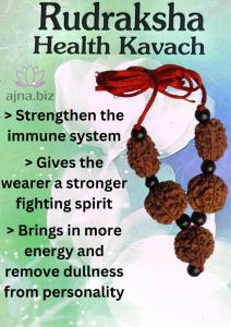 Original Rudraksha Health Kavach/Kavasam ( 3 Mukhi and 5 Mukhi) Rudraksha Bead With Lab Certificate (RARE)