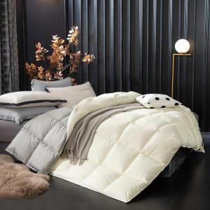 Thickened Warmth Feather Quilt