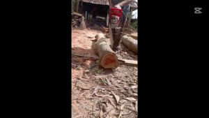 máy cưa xích xăng kamasu km7900 công suất 22kw công nghệ nhật bản bảo hành 12 tháng