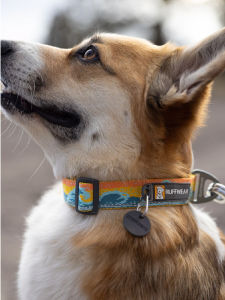 LAFUWEIER | For Large Medium Small Dogs Collar