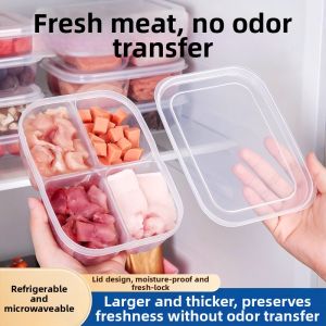 PISSA | Preservation Compartment Box Large Capacity