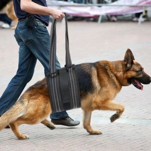 Dog Lift Harness Adjustable Dog Sling for Back Legs Support Rehab Harness for Weak Rear Legs Pet Aid Assist Tool For Elderly Dog