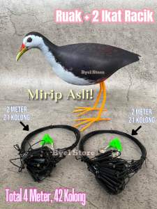 Jerat Jebakan Racik Ruak Ruak Perangkap Kareo Padi