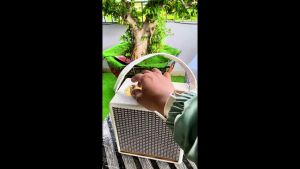 [ SIÊU PHẨM ] LOA XÁCH TAY M15 THIẾT KẾ NHỎ GỌN   KẾT NỐI ĐƯỢC BLUETOOTH  USB AUX  TF  DC 5V