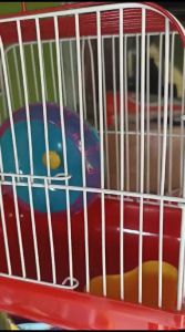 Kandang Hamster Smart Oval Free Botol Minum 60ml Full aksesoris / Kadang Suger Glidet Landak Mini