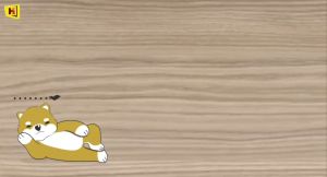 หนังสือภาพ "สารานุกรมจีนฉบับวาดมือ" ไซส์ A3 ปกแข็งเย็บกี่ สีทั้งเล่ม - Hongsamut