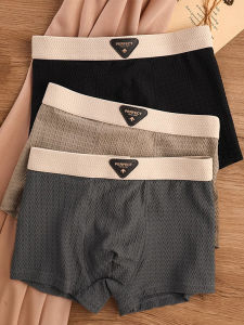 Seamless Antibacterial Iced Silk Briefs
