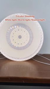 Minimalistic LED Ceiling Light Modern Style Tricolor Dimmable Energy Saving 80% Ceiling Lamp Bedroom Light Living Room Light Indoor Lighting