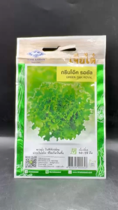 เจียไต๋ กรีนโอ๊ค รอยัล หมดอายุ 01/2569 จำนวน 1000 เมล็ด ทรงพุ่ม ใบสีเขียวอ่อน ปลายใบหยิก ซ้อนเป็นชั้น ระยะเก็บเกี่ยว 40 วัน npkplant