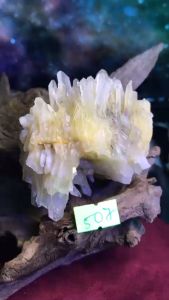 Đá Thạch Anh bông hoa trụ tinh thể kèm đế Ms 507