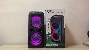 TTD 2810 Outdoor Music Party Box Flame Lamp Dual 8-inch Boom Box Portable Square Dance Bluetooth Speaker Loud Microphone