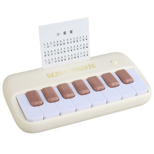 Early Education Mini Electric Keyboard Multifunctional Electronic Organ Piano Toy Light Learn Music Instrument Toys for Kid Gift