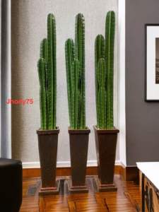 Kaktus koboy artifisial fullset tinggi 145cm