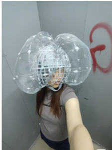 Rolling round Chicken Cage Ball Shaped Farmyard Outdoor Scenic Area Foraging Chicken Coop Pet Chicken Cage round Design