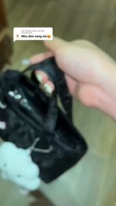 Túi Xách Nữ Mini Đeo Chéo Vải Nhung Sang Trọng Phong Cách Hàn Quốc Đính Đá Quý Họa Tiết Hình Thùng Xöe - Đa Sắc