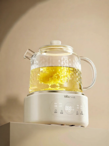 Bear | All-Glass Multifunctional Thermostatic Herbal Pot