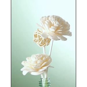 50 Cái Que khuếch tán mô phỏng hoa các loại/Que mây khuếch tán tinh dầu-HAUSE