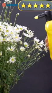 Bình Xịt Tưới Cây Có Phun Sương VIỆT NHẬT 0015/0016/0022/0026/0028/0029 – 2L 2.5L – TADAHOME