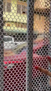 Plastic Fence Net Chicken Net 50CM/100CM Outdoor Net Orchard Protective Poultry Breeding Farming Net