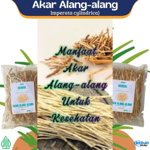Akar Alang Alang Kering Cogon Grass Rempah Herbal JSR Bersih & Higienis