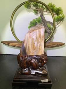 TSK Crystal SHY016天然树化玉 黄里透白 色泽圆润 特制雕刻实木底座 Natural Tree Fossil Jade