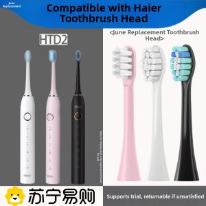 June Initials Electric Toothbrush Head Replacement for Haier DY-12 HTD2-5133 5135 2585 Deep Cleaning Adult Hardness Grade