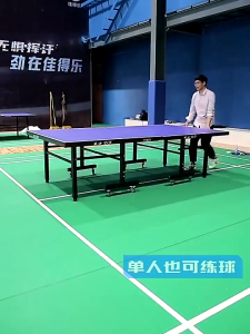 HAIM Standard table tennis table rainproof and sunproof professional training table tennis table case