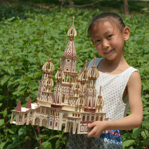 Challenging 3D Wooden Jigsaw Model