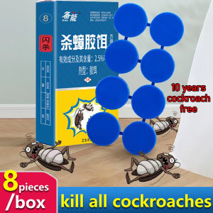 killer cockcroach bait cockcroach eliminator products cocroaches killer paste cockroach traps killer powder 8pcs killer cockroach traps