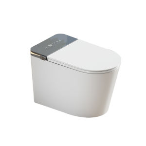 TEM | Smart Toilet with Heated Seat Bubble Shield Aromatherapy Automatic Flushing