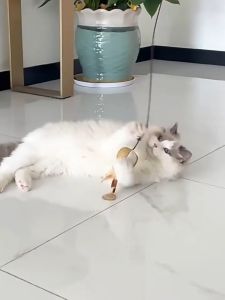 Pet Teaser Stick Pet Toy Chewy Cat Ball Feather Stick Wooden Pole Mainan Kucing Bola Berbulu Murah