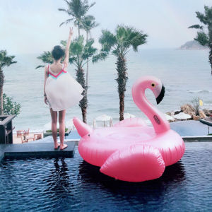 Internet Celebrity Rainbow Inflatable Floating Bed Flamingo Water Mount Pineapple Swimming Ring Unicorn Cup Holder Shooting Props