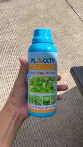 PLACTY 500ML NẶNG 800GR GEL ĐẬM ĐẶC PHÂN BÓN MUA 1 TẶNG 1 A-V-TONIC CHẤT LƯỢNG