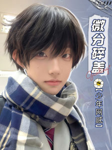 Natural Looking Short Hair Wig for Men Daily Style Simulation Human Hair Full Head Cover Fluffy Boyish Look Hairpiece