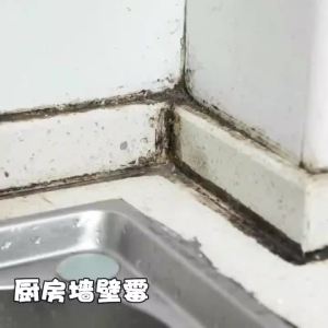 JeDa น้ำยาทำความสะอาดห้องน้ำ น้ำยากำจัดเชื้อรา  ขจัดคราบในห้อง ขจัดคราบผนัง bathroom cleaner สปอตสินค้า