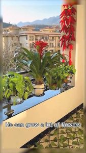 BestGila MALAYSIA 22cm Balcony Plant Hanging Basket Flower Pot Holder Hanger Fence Planters Assemble Outdoor Plant Baskets Rak Pasu 花盆架