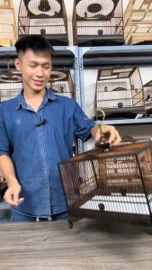 Lồng tập lực ( RÁP SẴN ) dành cho chim khuyên chim hút mật form chữ nhật chất liệu gỗ mun cao cấp tặng kèm phụ kiện