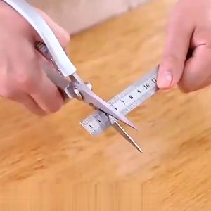 FR-C976 Gunting Dapur Serbaguna Stainless Tahan Karat / Gunting Ayam Ikan Daging Sayuran Praktis