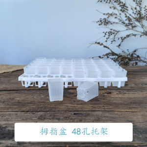 Mini Thumb Pot Tray 48 Holes Special for Inner Diameter 3.5-3.7cm Succulent Pots Gardening Accessories Flower Delivery