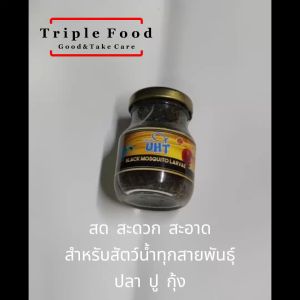 อาหารปลา ลูกน้ำ UHT Fish Food อาหารปลากัด ปลาหางนกยูง ปลาบอลลูน ปลาสวยงาม ปลานีออน ลูกน้ำสด ลูกน้ำปลากัด ยังมี อาร์ทีเมีย ไรแดง ลูกน้ำ ไข่ไรนางฟ้า ไรนางฟ้า ด่างทับทิม ใบหูกวาง