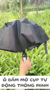 Ô Dù Bấm Tự Động Bật Mở - Tự Động Gấp Gọn 2 Chiều
