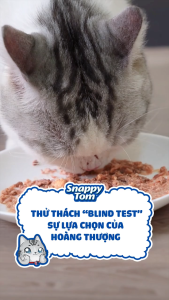 pate snappy tom 70gr và 85gr dạng LON dành cho mèo - T3 PETS SHOP