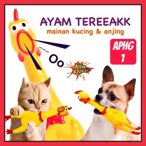 AYAM TERIAK BERBUNYI || MAINAN KUCING & ANJING《APHG#1》