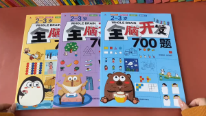 全脑开发训练册 700-1000题 幼儿童早教逻辑左右脑练习册 专为2-6岁儿童打造 幼儿全脑思维训练 益智早教  Children Whole Brain Early Learning Exercise Work Book