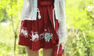 Original Design Short Skirt with Embroidery Han Elements Womens Fashion A-Line Pleated Skirt by NanShan Taste Traditional Chinese Clothing