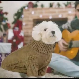 Winter Dog Sweater for Small Dogs Soft Cable Knit Turtleneck Puppy Pullover Chihuahua Yorkie Poodle Maltese Shih Tzu Pomeranian