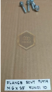 10 BIJI BAUT TOPI KUNCI PAS 10 PANJANG 35CM M6X35 35 CM 35 CM PUTIH 35MM 35 MM BAUD FLANGE BOLT M6 X 35 BAUT 6X35 6 X 35 PITCH DRAT 1.0