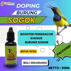 Booster Vitamin Burung Sogok / Vitamin Burung Sogok / Vitamin Booster Burung Sogok / Vitamin Penggacor Burung Sogok / Booster Penggacor Burung Sogok / Vitamin Burung Sogok Cepat Gacor / Doping Burung Sogok