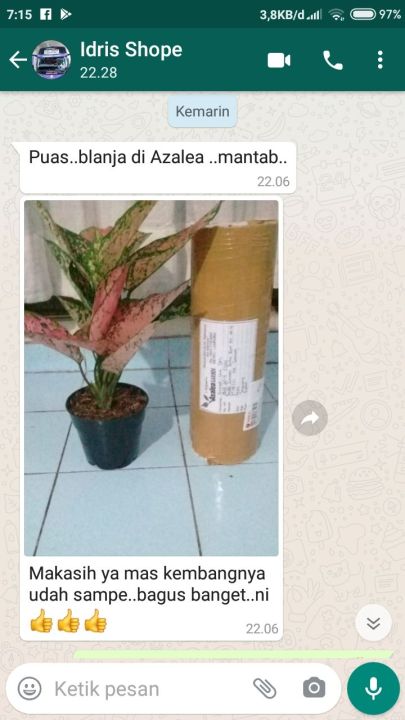 Promo%20Paket%20Aglonema%2010%20Jenis%20Barang%20Ok%20-%20Image%202